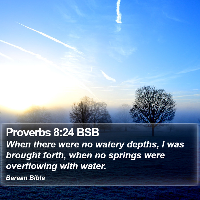 Proverbs 8:24 BSB Bible Study