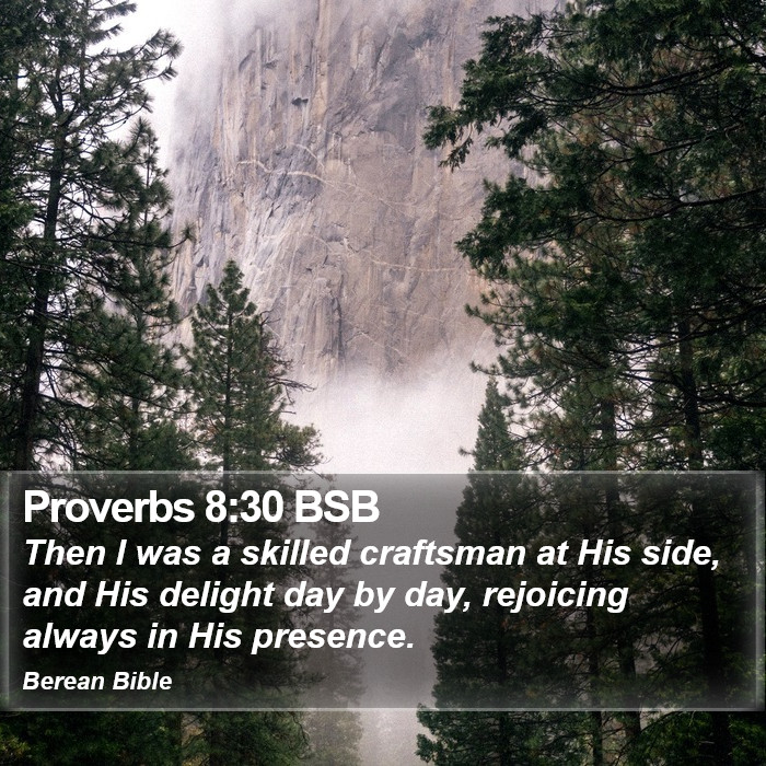 Proverbs 8:30 BSB Bible Study