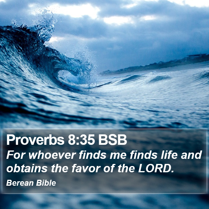 Proverbs 8:35 BSB Bible Study