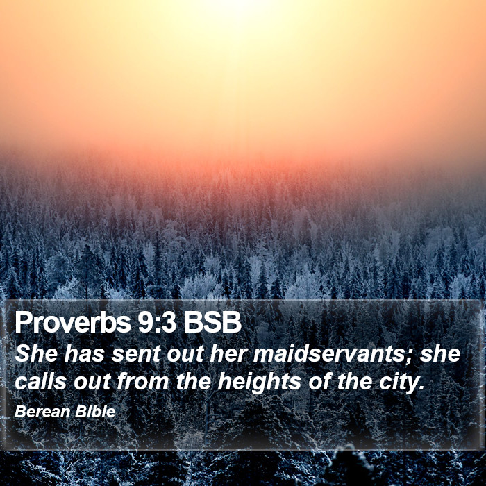 Proverbs 9:3 BSB Bible Study