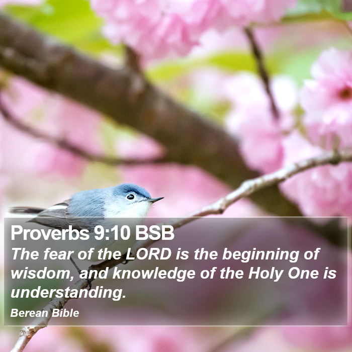 Proverbs 9:10 BSB Bible Study