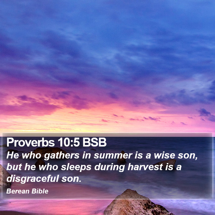 Proverbs 10:5 BSB Bible Study