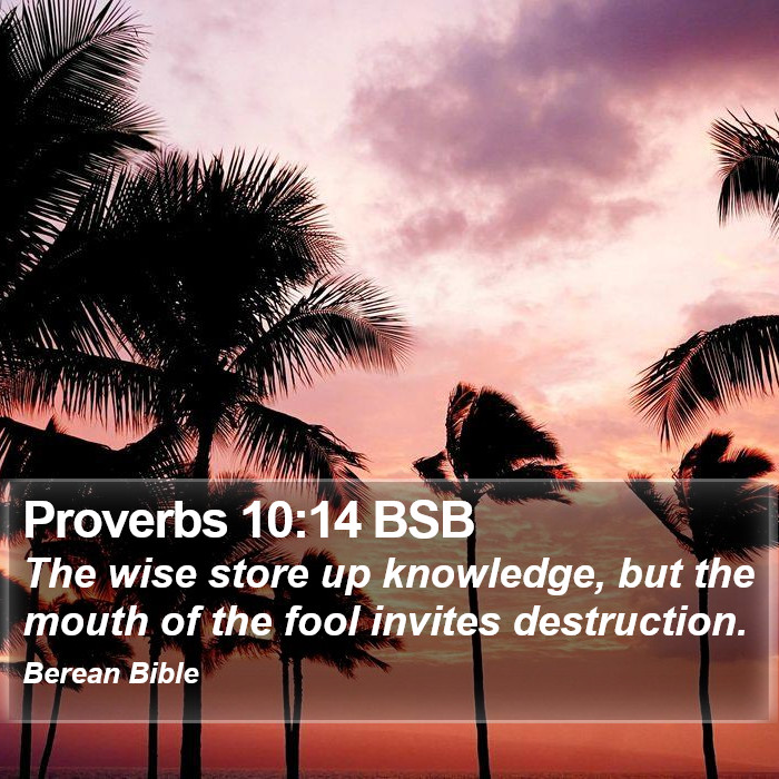 Proverbs 10:14 BSB Bible Study