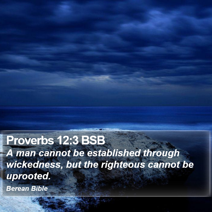 Proverbs 12:3 BSB Bible Study