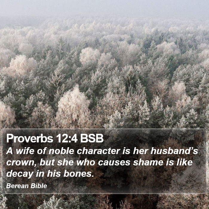 Proverbs 12:4 BSB Bible Study