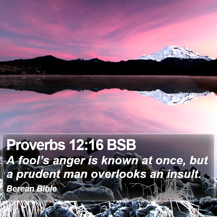 Proverbs 12:16 BSB Bible Study