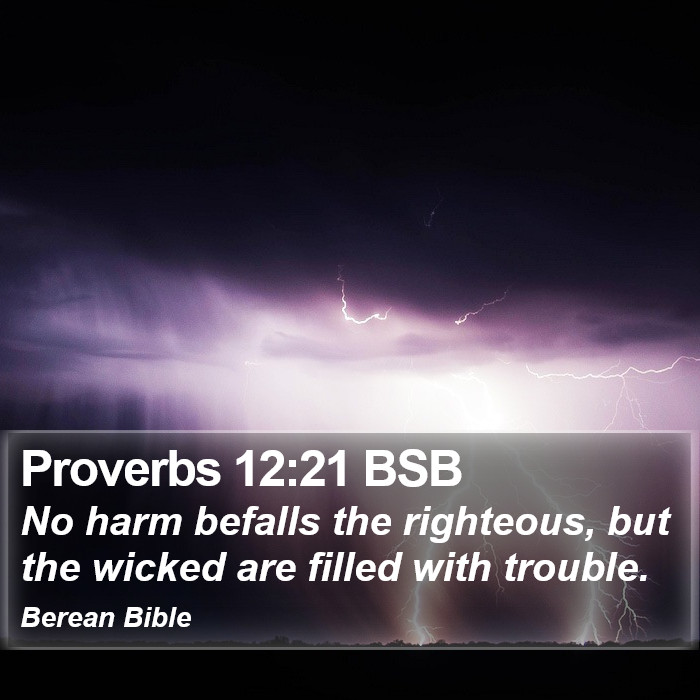 Proverbs 12:21 BSB Bible Study