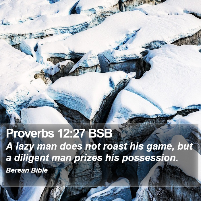 Proverbs 12:27 BSB Bible Study