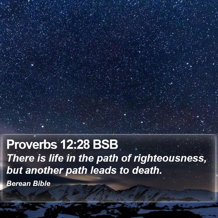 Proverbs 12:28 BSB Bible Study