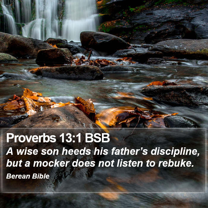 Proverbs 13:1 BSB Bible Study