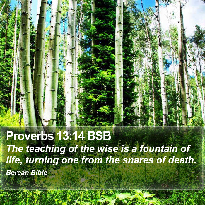 Proverbs 13:14 BSB Bible Study