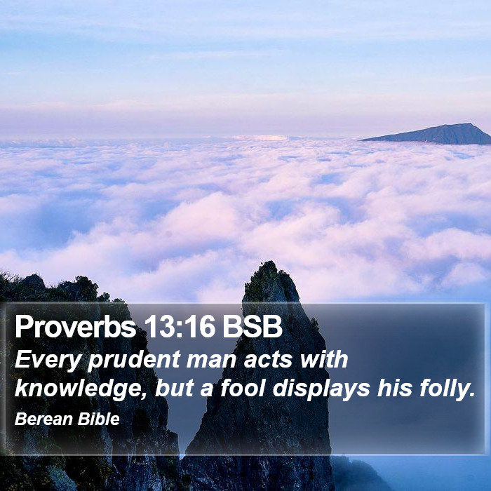 Proverbs 13:16 BSB Bible Study