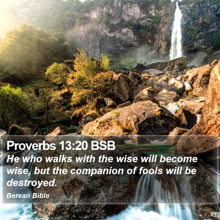 Proverbs 13:20 BSB Bible Study