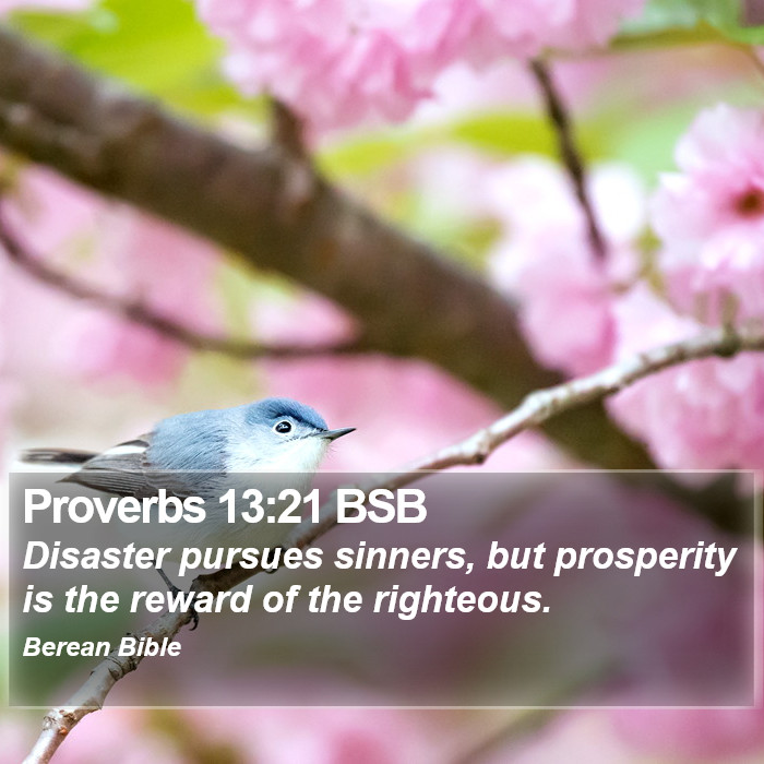 Proverbs 13:21 BSB Bible Study