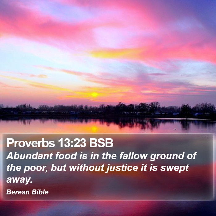 Proverbs 13:23 BSB Bible Study