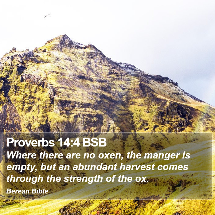 Proverbs 14:4 BSB Bible Study