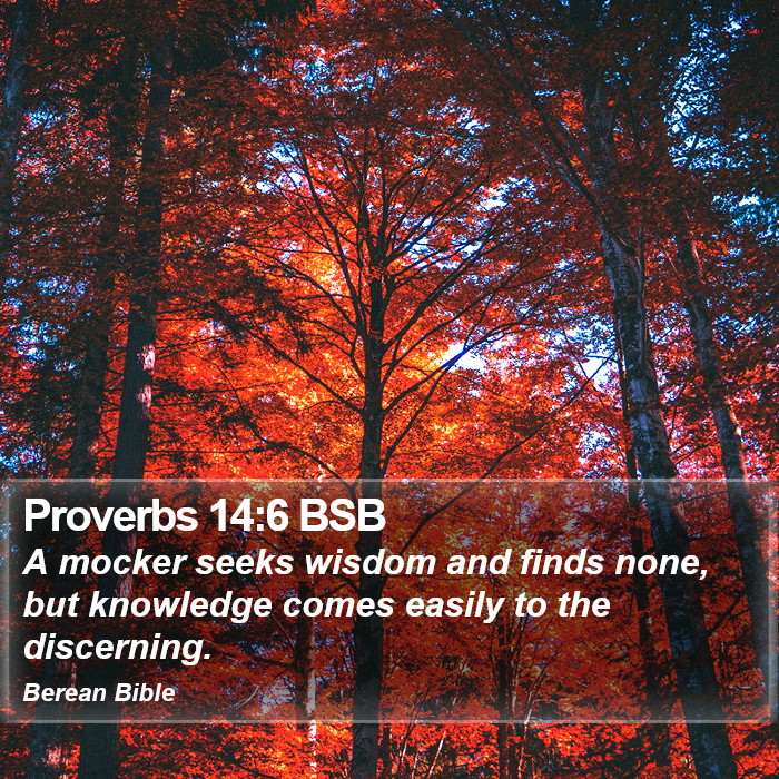 Proverbs 14:6 BSB Bible Study