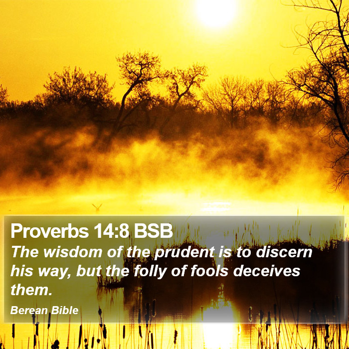 Proverbs 14:8 BSB Bible Study