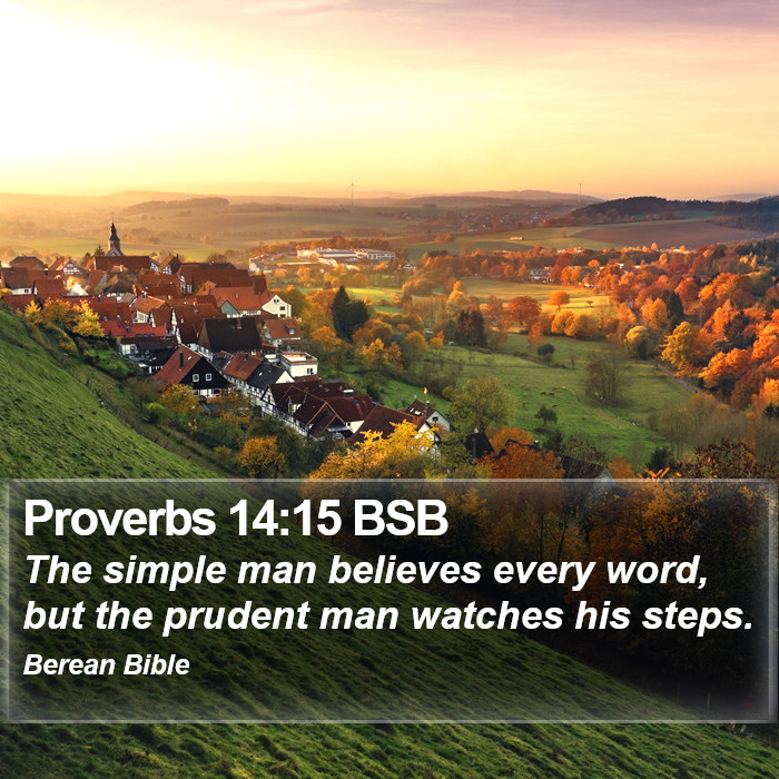 Proverbs 14:15 BSB Bible Study