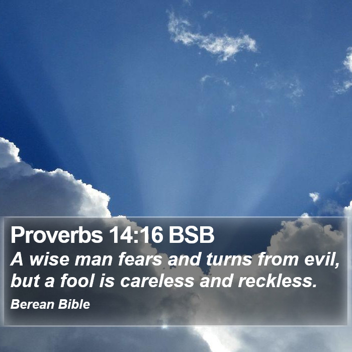 Proverbs 14:16 BSB Bible Study