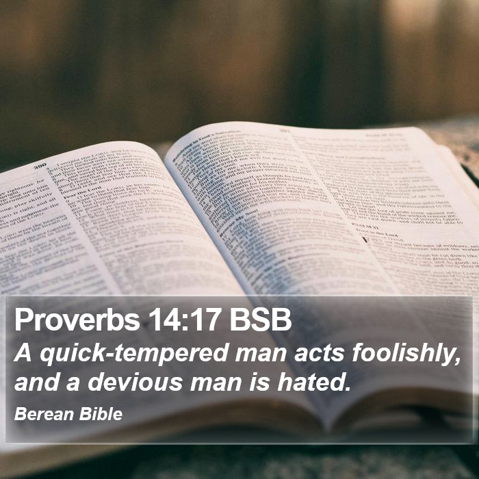 Proverbs 14:17 BSB Bible Study