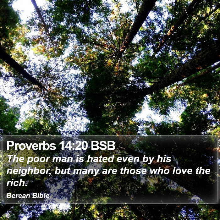 Proverbs 14:20 BSB Bible Study