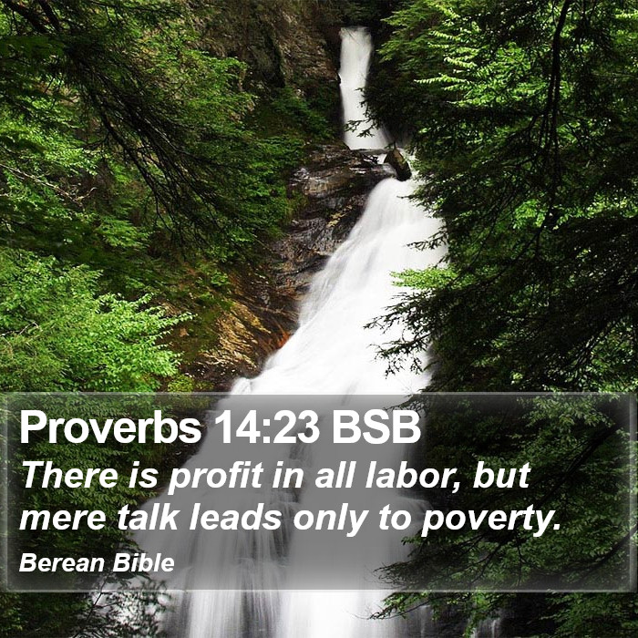 Proverbs 14:23 BSB Bible Study