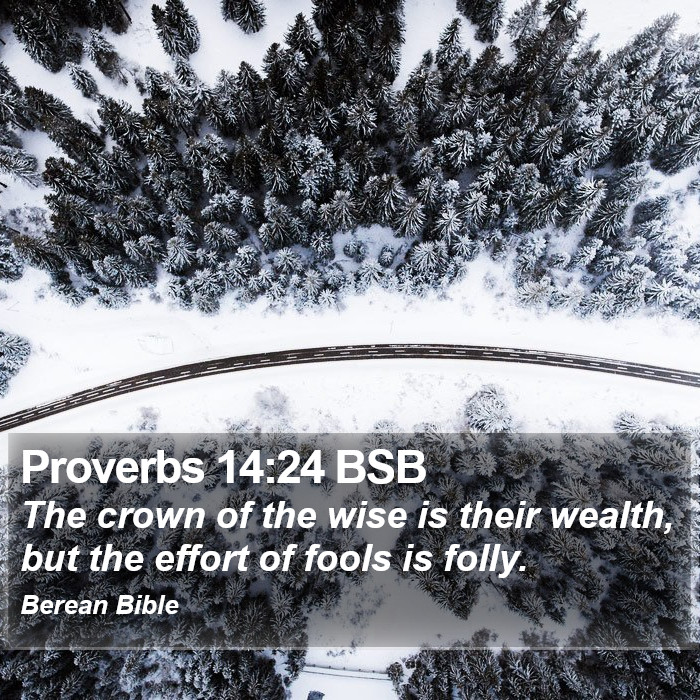 Proverbs 14:24 BSB Bible Study