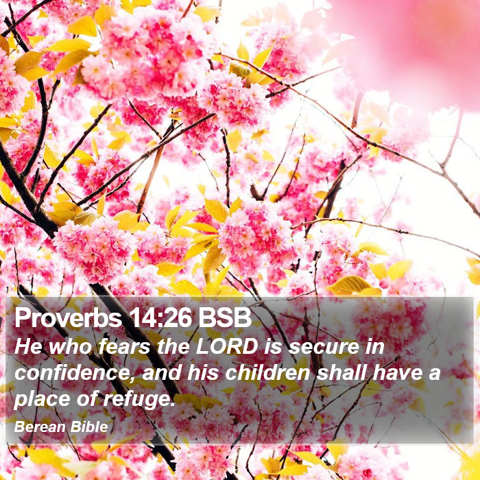 Proverbs 14:26 BSB Bible Study