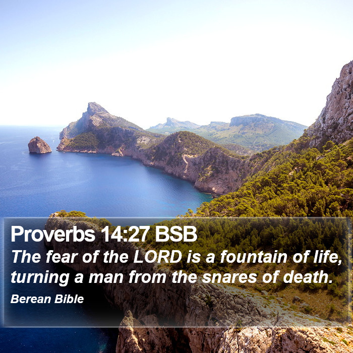 Proverbs 14:27 BSB Bible Study