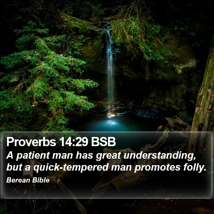 Proverbs 14:29 BSB Bible Study