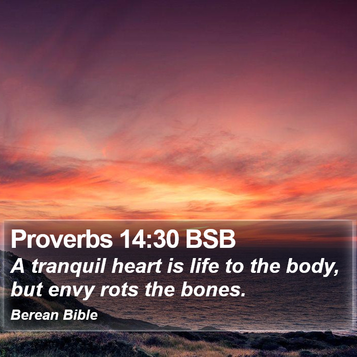 Proverbs 14:30 BSB Bible Study