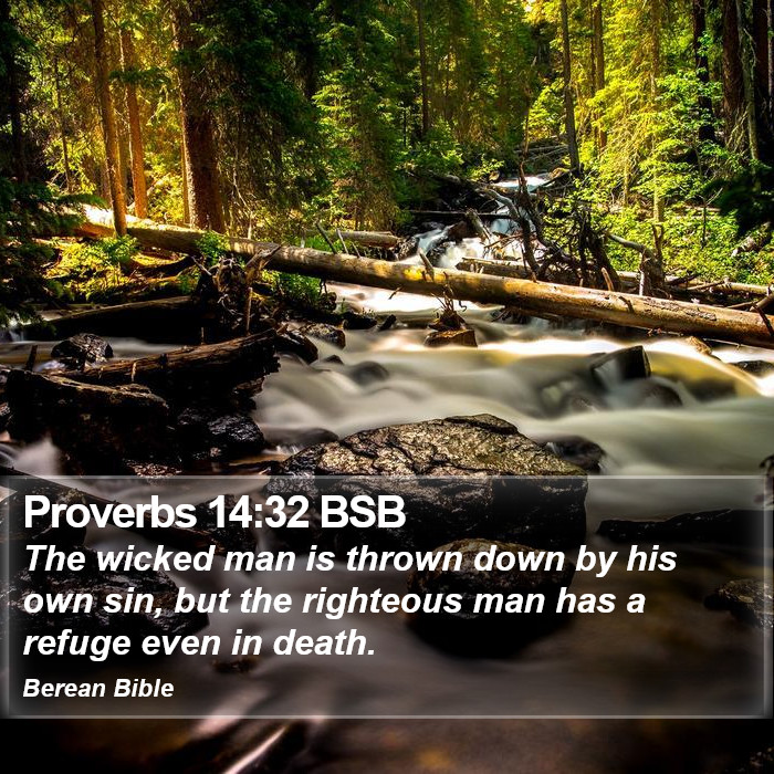 Proverbs 14:32 BSB Bible Study