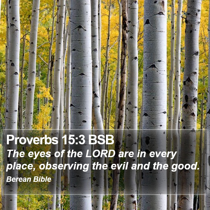 Proverbs 15:3 BSB Bible Study