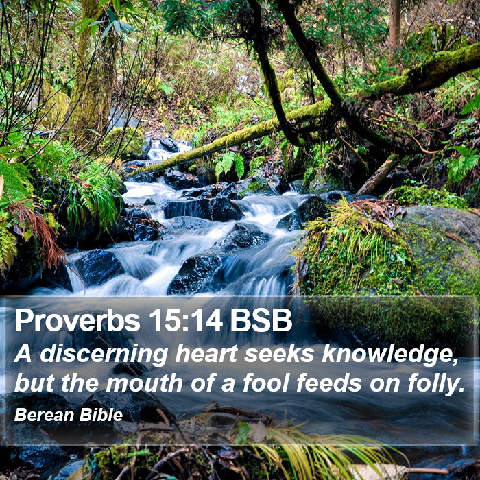 Proverbs 15:14 BSB Bible Study