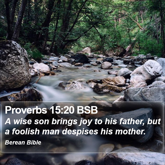 Proverbs 15:20 BSB Bible Study