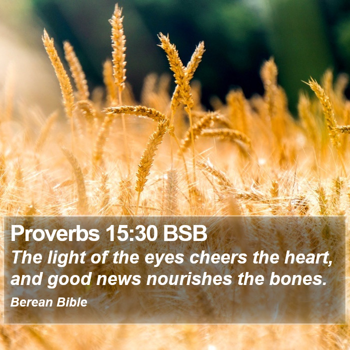 Proverbs 15:30 BSB Bible Study