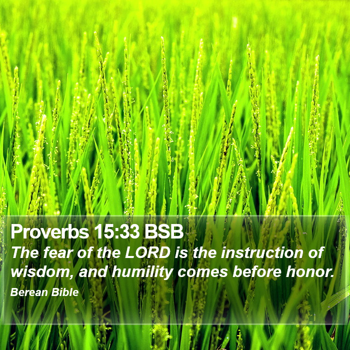 Proverbs 15:33 BSB Bible Study