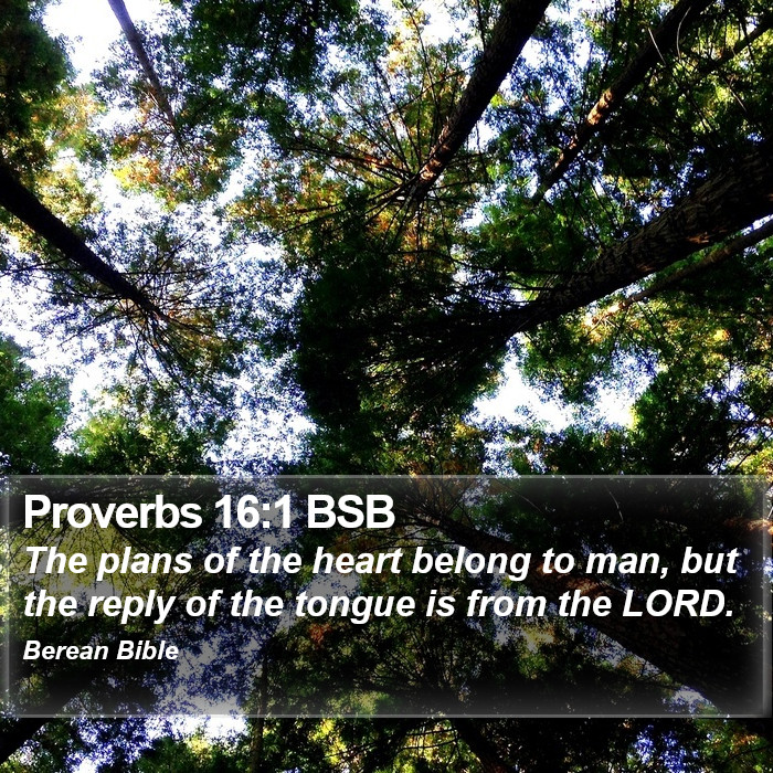 Proverbs 16:1 BSB Bible Study