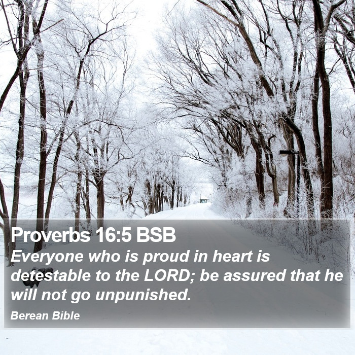 Proverbs 16:5 BSB Bible Study