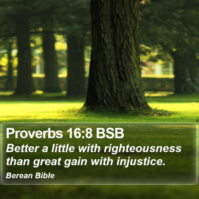 Proverbs 16:8 BSB Bible Study