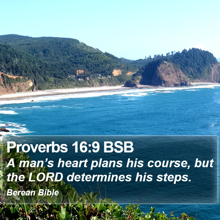 Proverbs 16:9 BSB Bible Study