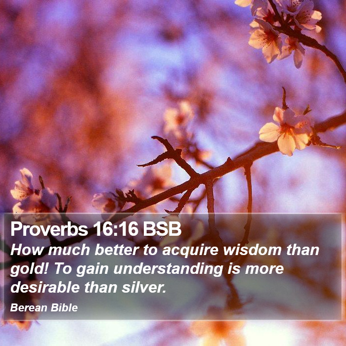 Proverbs 16:16 BSB Bible Study