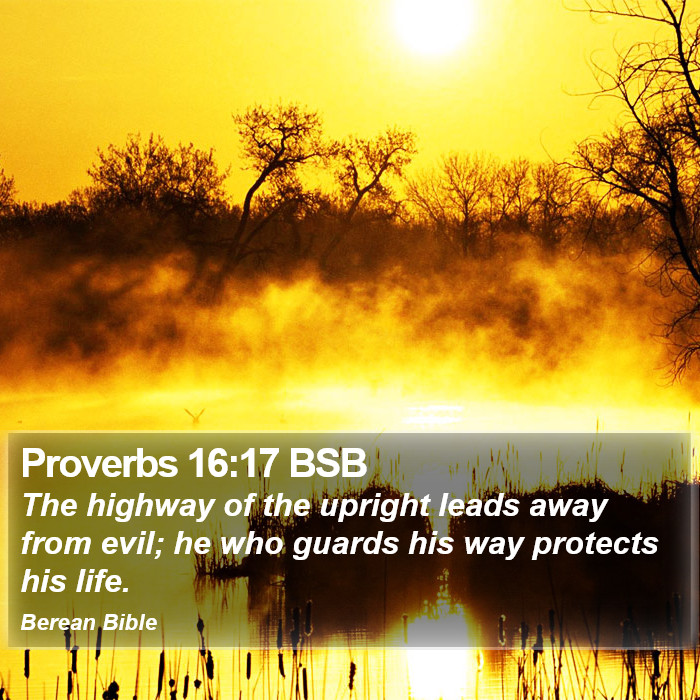 Proverbs 16:17 BSB Bible Study