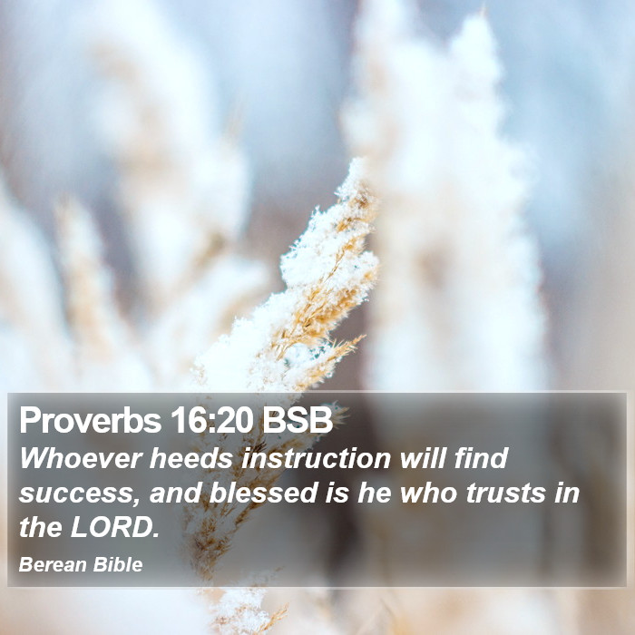 Proverbs 16:20 BSB Bible Study