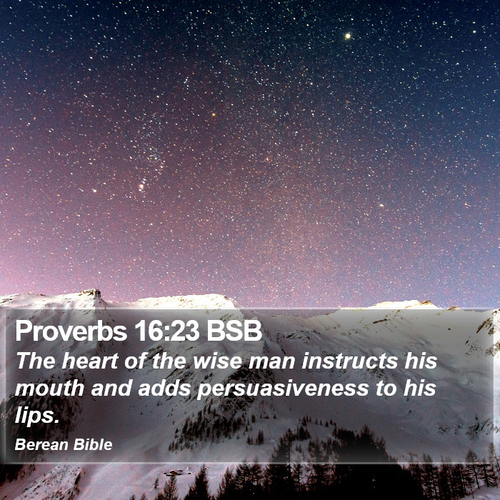 Proverbs 16:23 BSB Bible Study