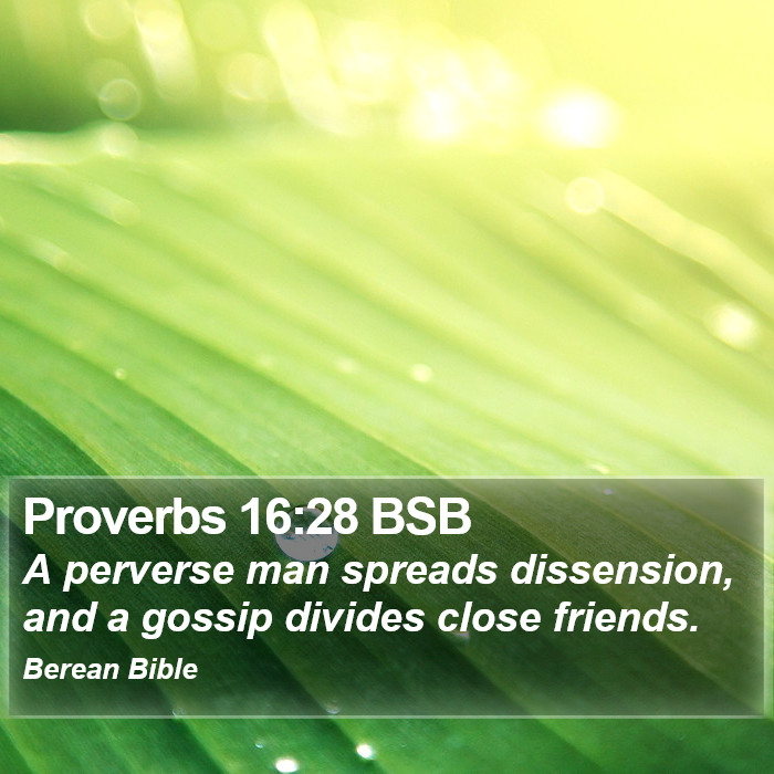 Proverbs 16:28 BSB Bible Study