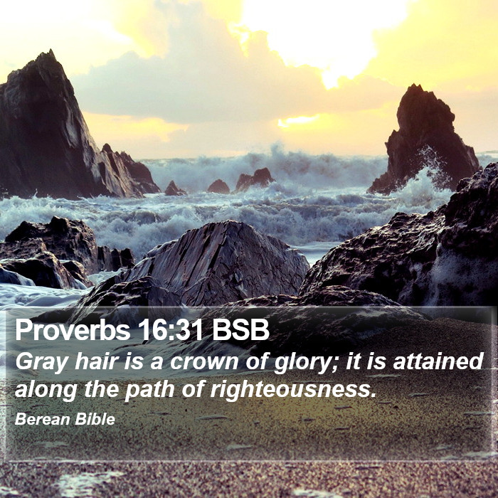 Proverbs 16:31 BSB Bible Study