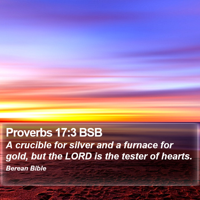 Proverbs 17:3 BSB Bible Study