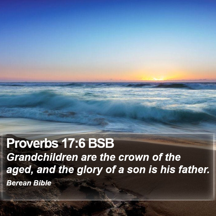 Proverbs 17:6 BSB Bible Study